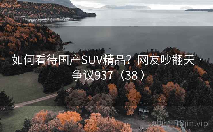 如何看待国产SUV精品？网友吵翻天 · 争议937（38 ）